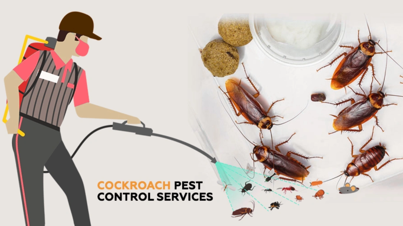 Cockroach Pest Control Services in Mylapore
