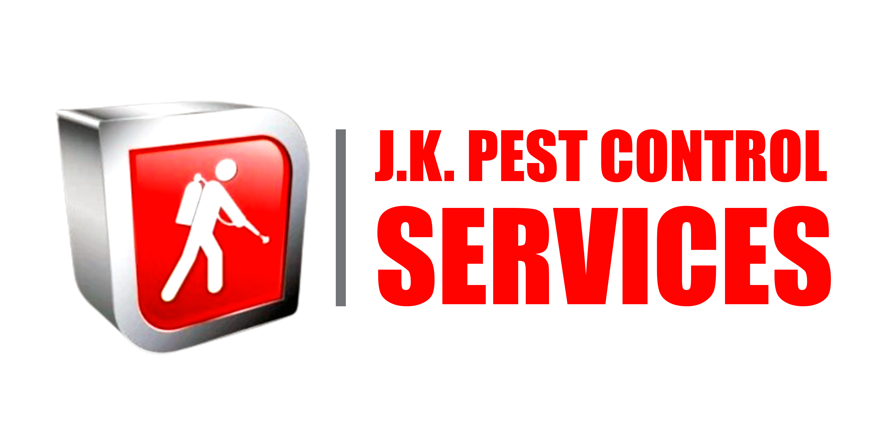Pest Control Services in Mylapore