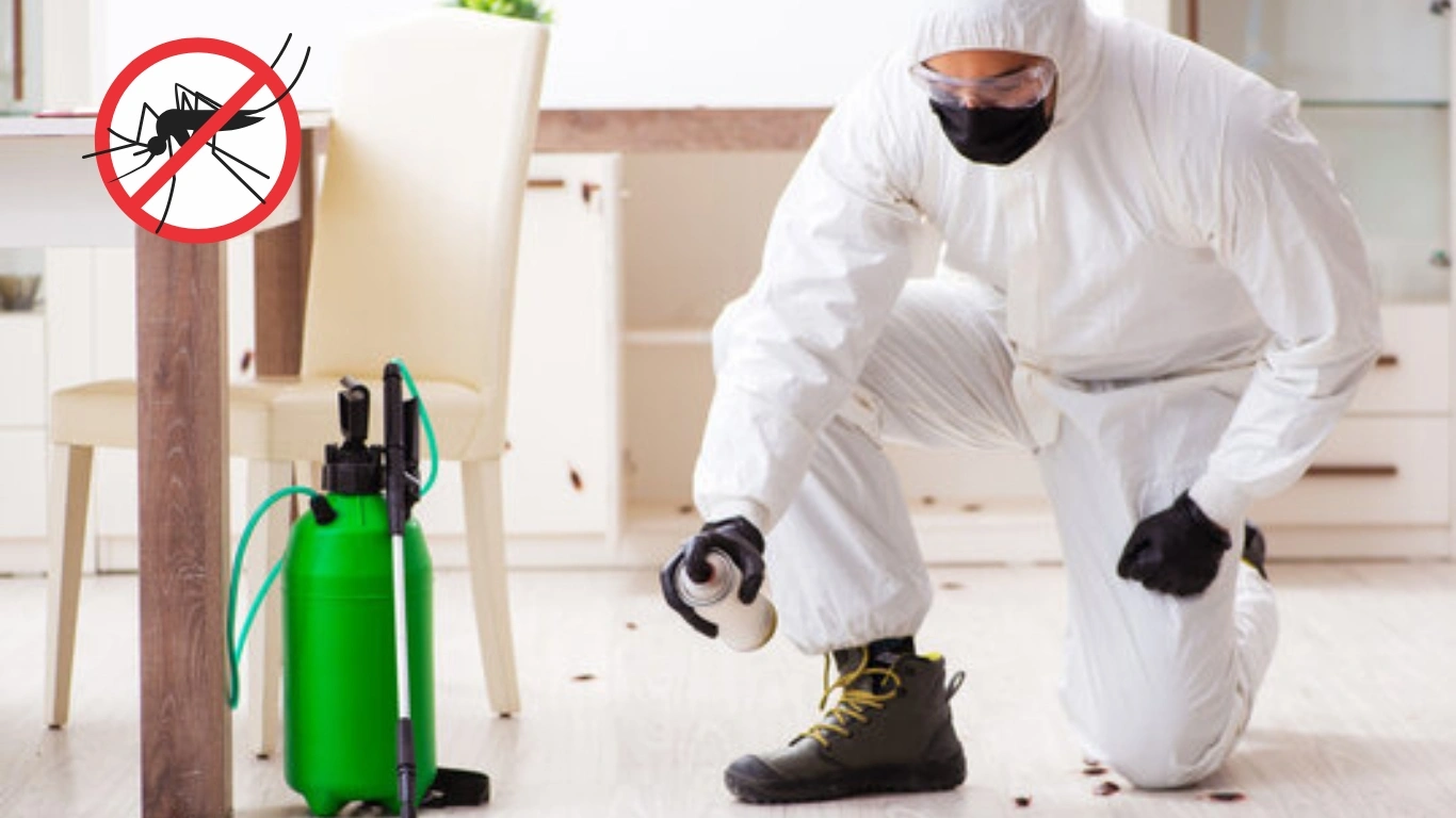 Mosquito Pest Control Services in Mylapore
